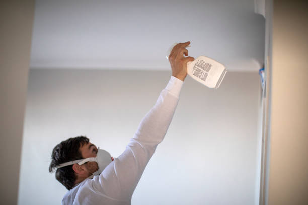 Best Residential Mold Removal  in Bainbridge, GA