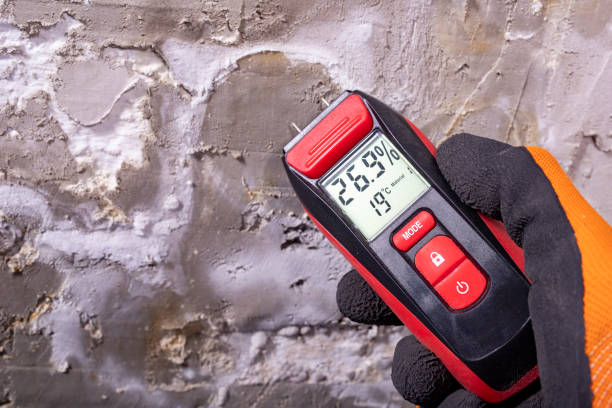 Home Mold Removal in Bainbridge, GA