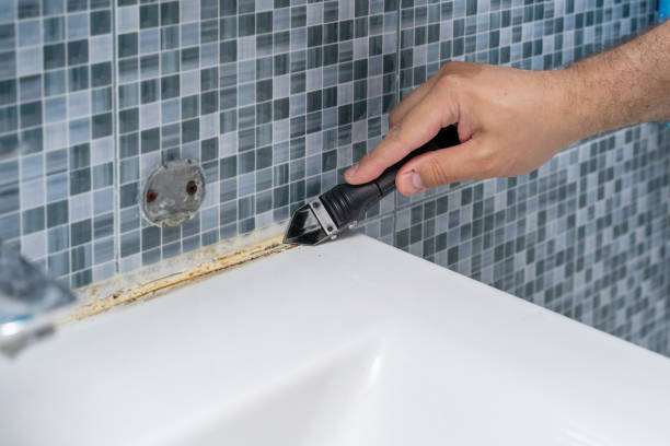 Best Commercial Mold Removal  in Bainbridge, GA